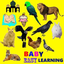 Baby Easy Learning