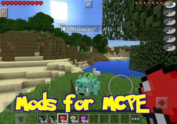 Mods Pokemon for Minecraft PE screenshot 1