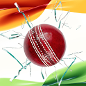 Play IPL 2013 icon
