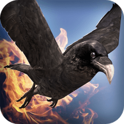 симулятор птицы полета бой иконка