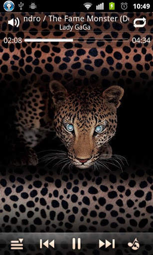 Love leopard TTPod Skin screenshot 4