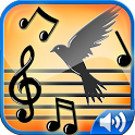 Bird Sounds Ringtones icon