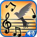 Birds Sounds Ringtones 1.0