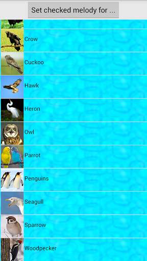 Bird Sounds Ringtones screenshot 2
