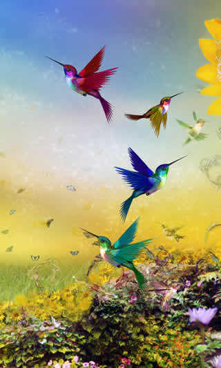 Birds Live Wallpaper скриншот 2