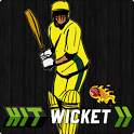 Hit Wicket Australian Cricket