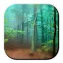 Forest Live Wallpaper 3D 1.0.1