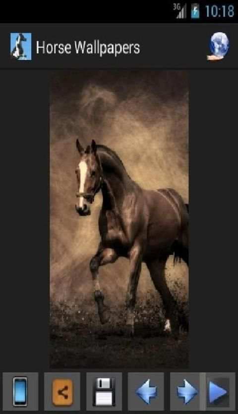 Horse Wallpapers screenshot 2