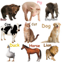Animal Sounds icon