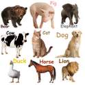 Animal Sounds 4.0