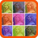 PicArt Color 3.1