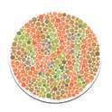 Eye Color Blindness Test