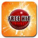 Free Hit Cricket 2.4