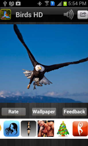 Birds HD Wallpaper स्क्रीनशॉट 3