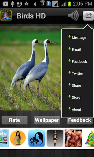Birds HD Wallpaper स्क्रीनशॉट 2