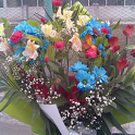 Flowers HD wallpapers icon