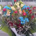 Flowers HD wallpapers 2.0