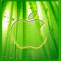 Green Apple Locker Theme icon