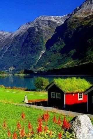 Nature Live Wallpaper स्क्रीनशॉट 1