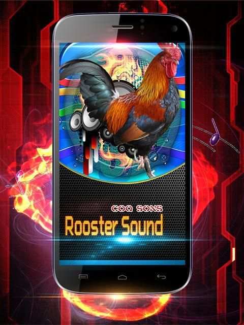 Rooster Sound Free скриншот 1