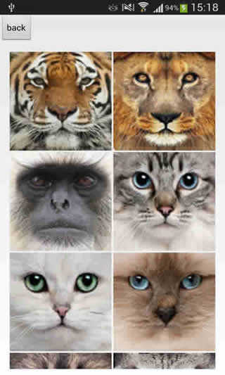 Funny Face - face, eyes, morph screenshot 2