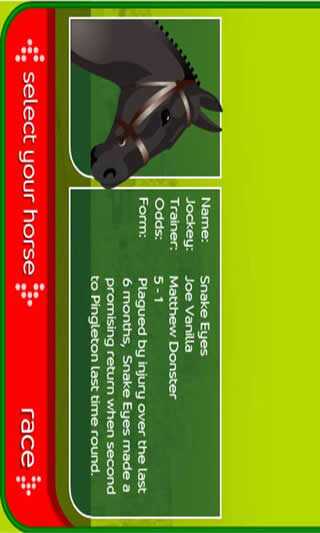 Horse Racing screenshot 3