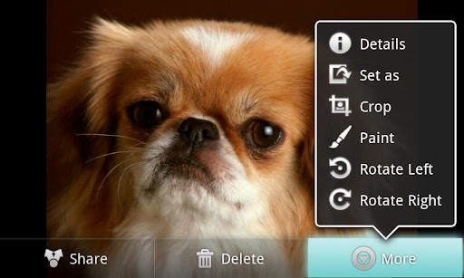 Photo Paint 3 تصوير الشاشة