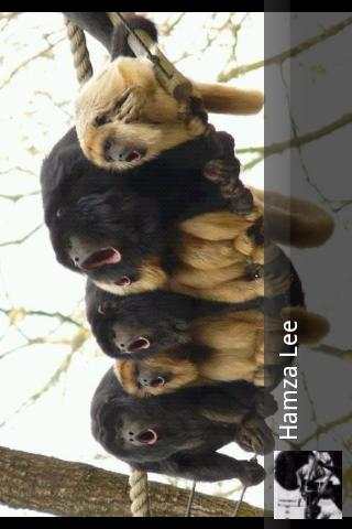FFF - Facebook photos &amp; videos screenshot 4