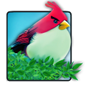 Natural Angry birds free LWP icon