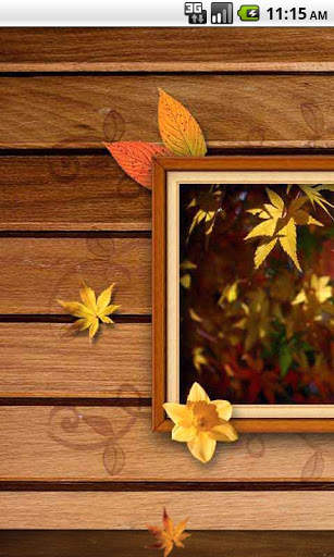 Free Frame Picture Theme screenshot 5