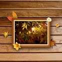 Free Frame Picture Theme on 9Apps