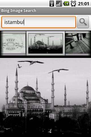 Bing Image Search screenshot 2
