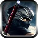 Ninja Revenge 1.05