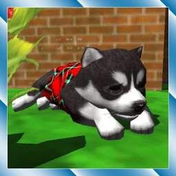 Cute Pocket Puppy 3D