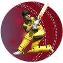 World Cricket T20 2.3.2