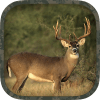 Whitetail Hunting Calls icon