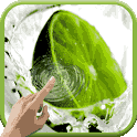 Fruits In Water Live Wallpaper icon
