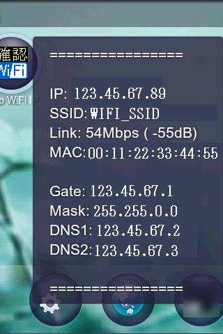 Display WiFi IP Address SSID screenshot 2
