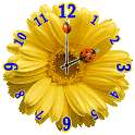Flowers Clock Widgets on 9Apps