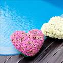 love-hearts LWP 1.0