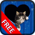 Tom Cat Free Game icon