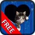 ikon Tom Cat Free Game