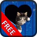 CatPuzzle 1.0