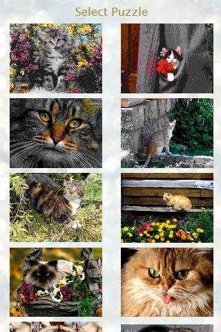 Tom Cat Free Game screenshot 1