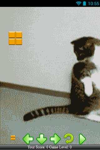 Tom Cat Free Game screenshot 3