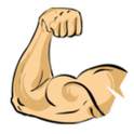 TopBiceps 1.0