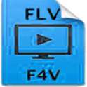 FLV F4V Video Player