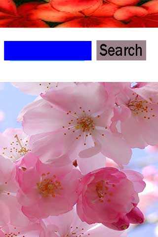 Web Browser Searcher screenshot 1