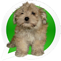 Whatsapp icons Dogs icon