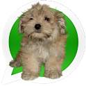 Puppies Icons for Whatsapp 1.0